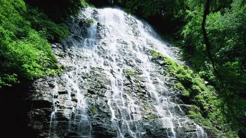 绿色高性能高端